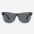 Gray Tortoise/Silver polarized lens